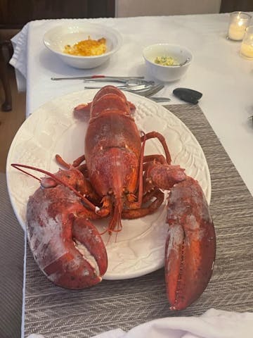 Live Maine Lobster photo review