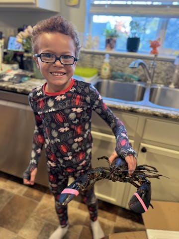 Live Maine Lobster photo review