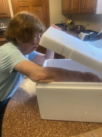 Live Maine Lobster photo review