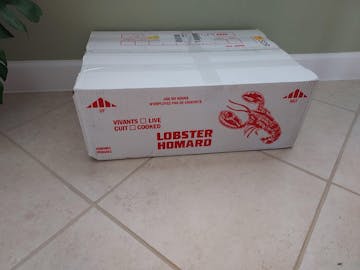 Live Maine Lobster photo review