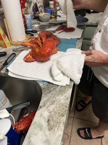 Live Maine Lobster photo review