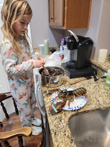 Live Maine Lobster photo review