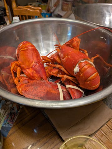 Live Maine Lobster photo review
