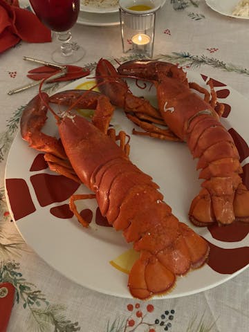 Live Maine Lobster photo review
