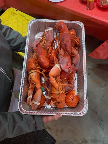 Live Maine Lobster photo review