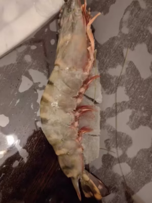 Colossal Black Tiger Prawns photo review