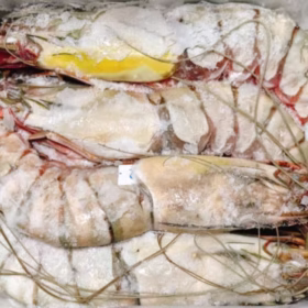 Colossal Black Tiger Prawns photo review