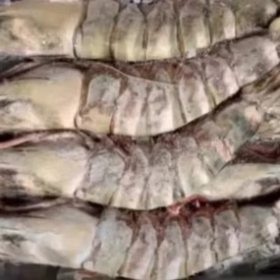 Colossal Black Tiger Prawns photo review