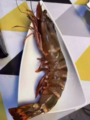 Colossal Black Tiger Prawns photo review