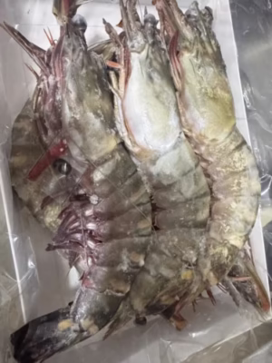 Colossal Black Tiger Prawns photo review