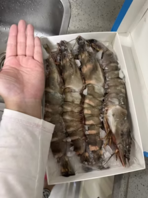 Colossal Black Tiger Prawns photo review